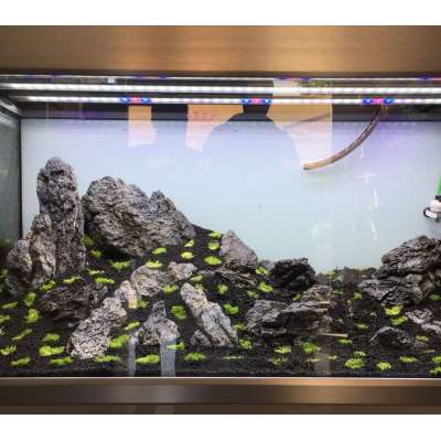 decorative black Seiryu dragon aquarium stone rocks