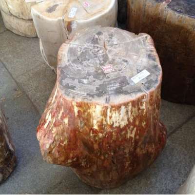 polished petrified wood stool